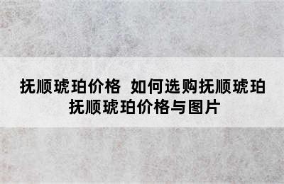 抚顺琥珀价格  如何选购抚顺琥珀 抚顺琥珀价格与图片